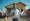 4 Essential Steps for Using a Hard Money Loan for Down Payment
