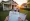 Master the 2 Out of 5-Year Rule for Rental Property Success