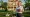 Master the Equity Line on Investment Property: A Complete Tutorial