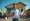 4 Essential Steps for Using a Hard Money Loan for Down Payment