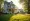 Understanding SFR Meaning: Key Insights for Real Estate Investors